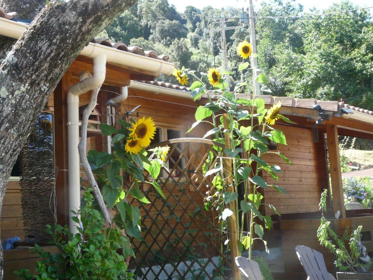 Le Chalet De Valentine & Laurent Olmiccia Exterior foto